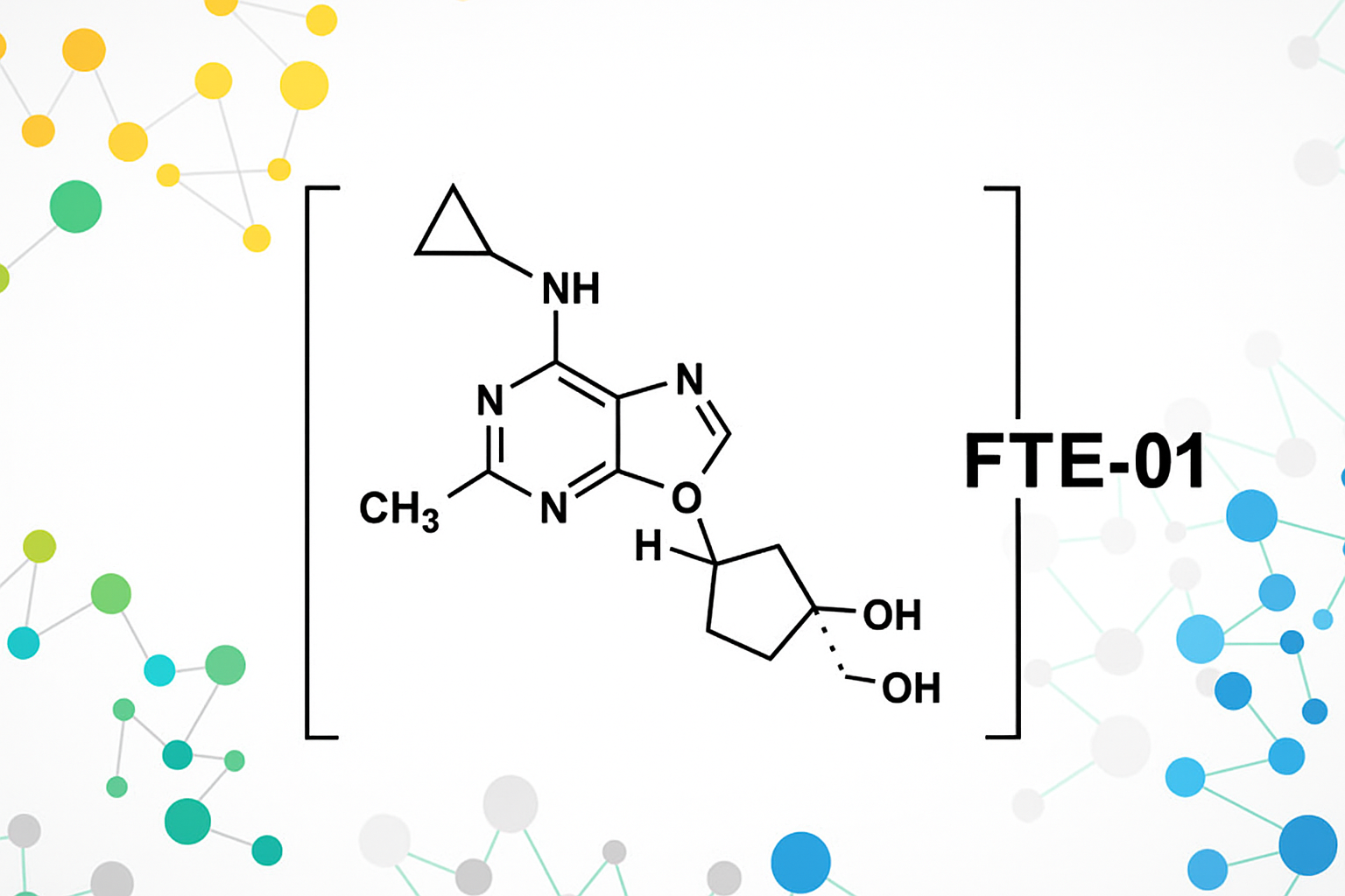 FTE-01